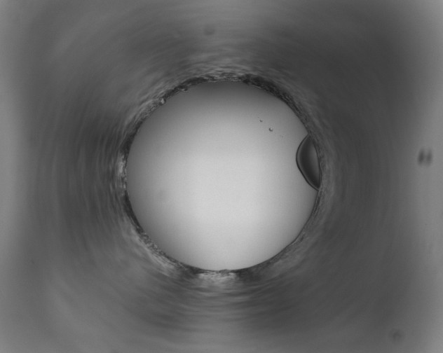X0000112090480200908041052