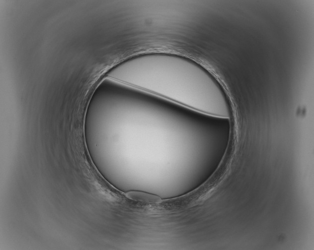 X0000112090481200908041052