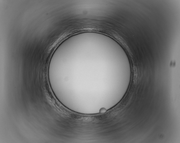 X0000112090482200908041052