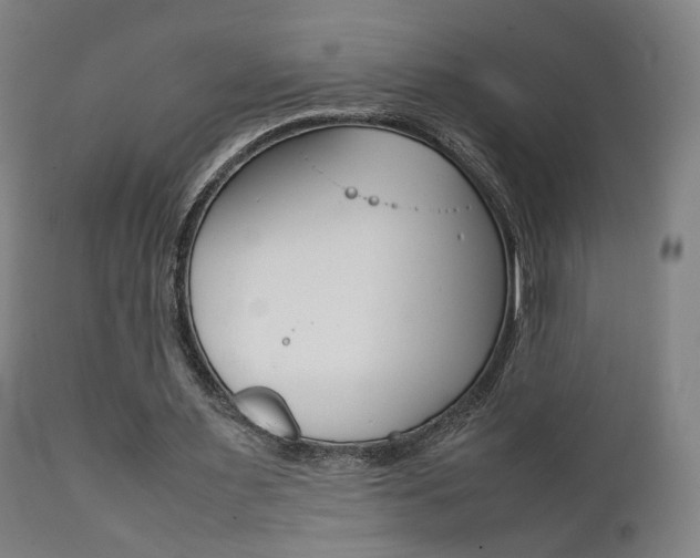 X0000112090483200908041052