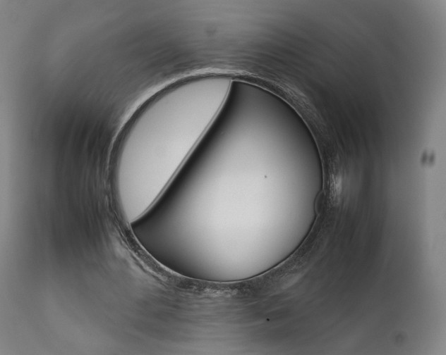 X0000112090484200908041052