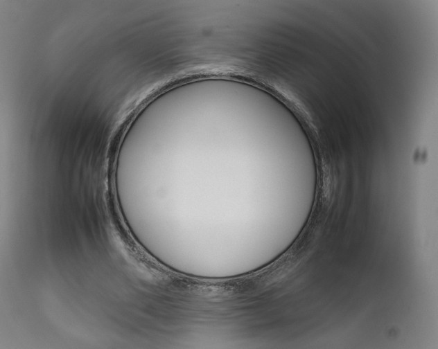 X0000112090486200908041052