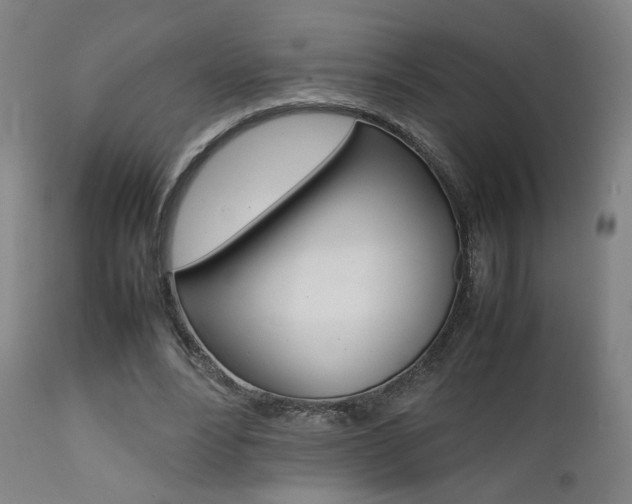 X0000112090488200908041052