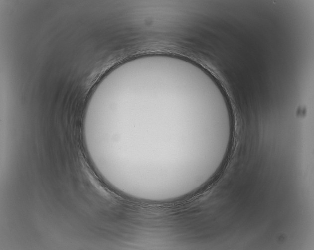X0000112090489200908041052