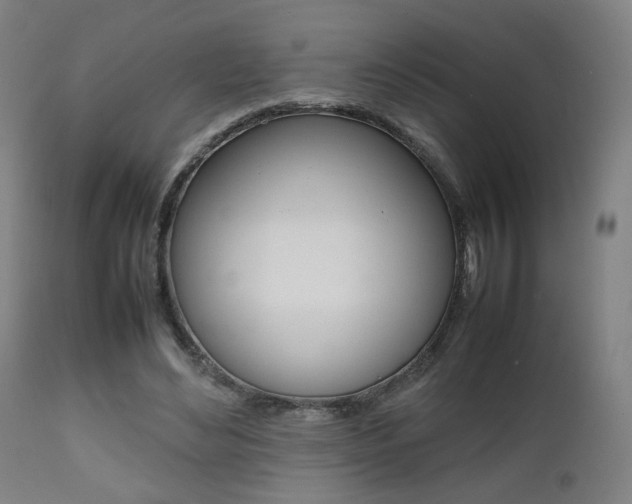 X0000112090492200908041051
