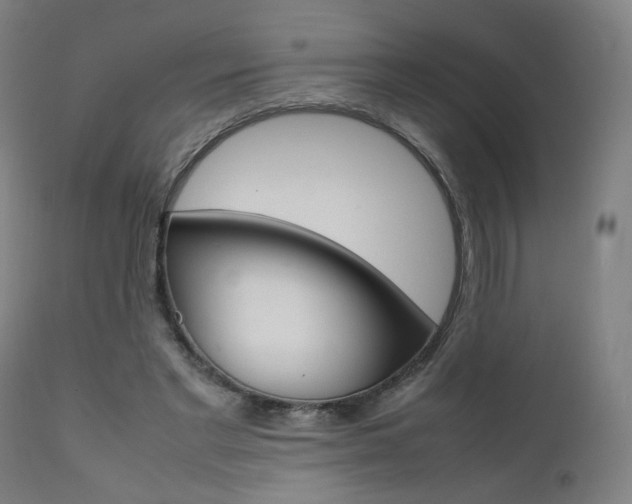 X0000112090493200908041051