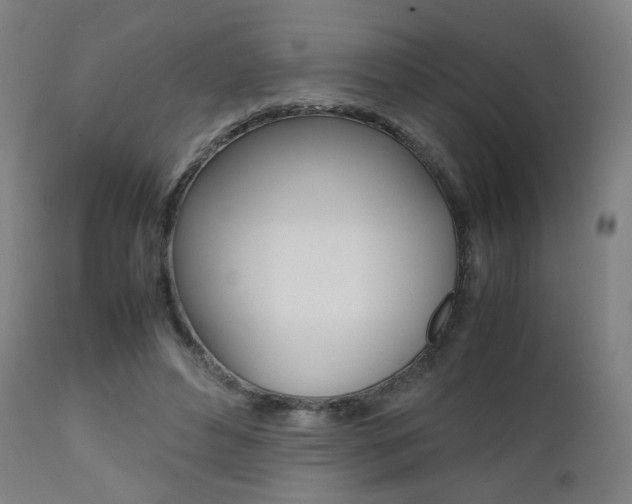X0000112090496200908041051
