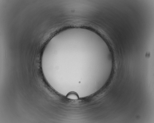 X0000112090497200908041051