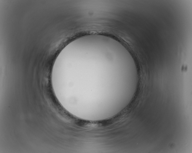 X0000112090499200908041051