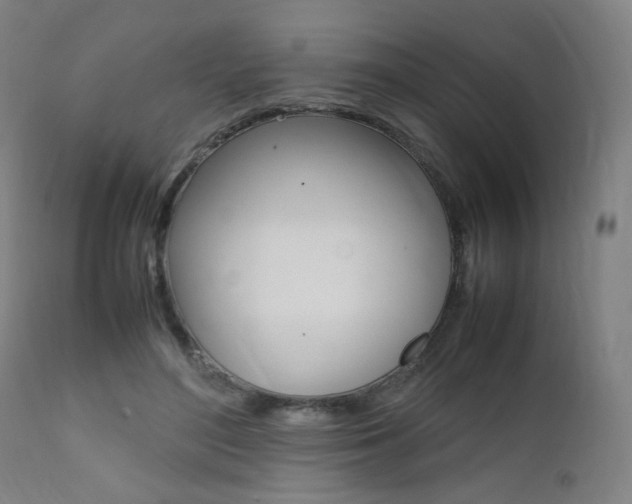 X0000112090500200908041051