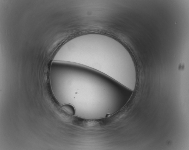 X0000112090501200908041051