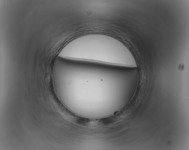 X0000112090505200908041051
