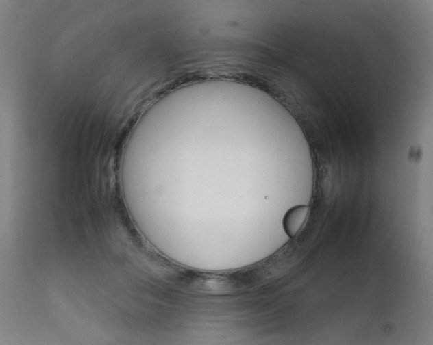 X0000112090506200908041051