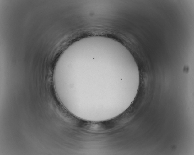 X0000112090507200908041051
