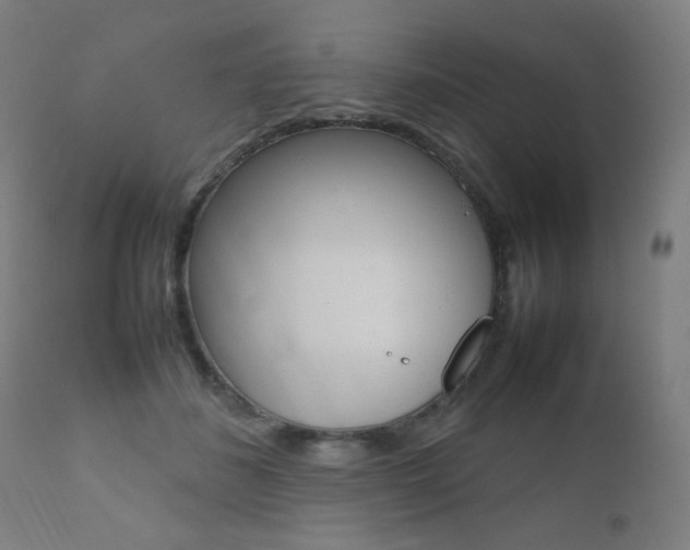X0000112090508200908041051