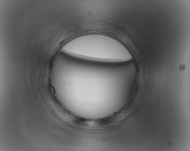 X0000112090509200908041051