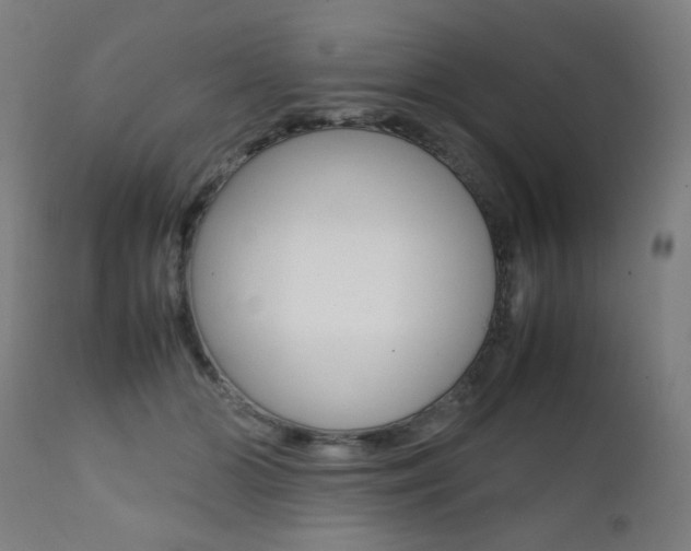 X0000112090510200908041051