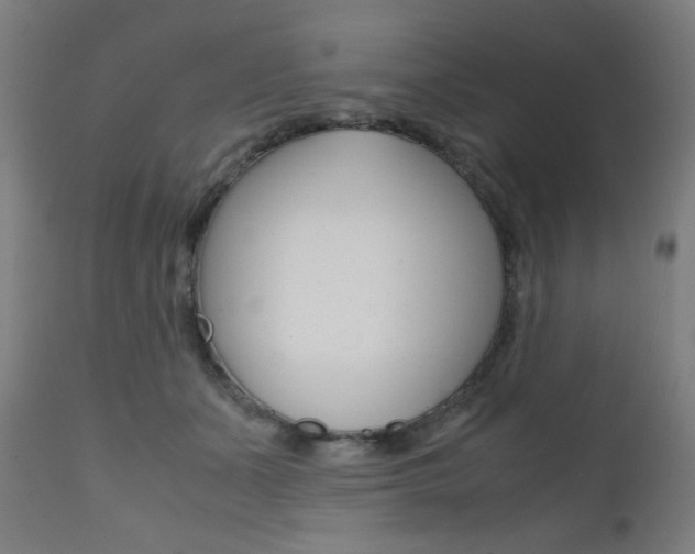 X0000112090511200908041051