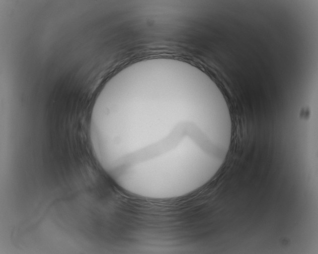 X0000112090512200908041051