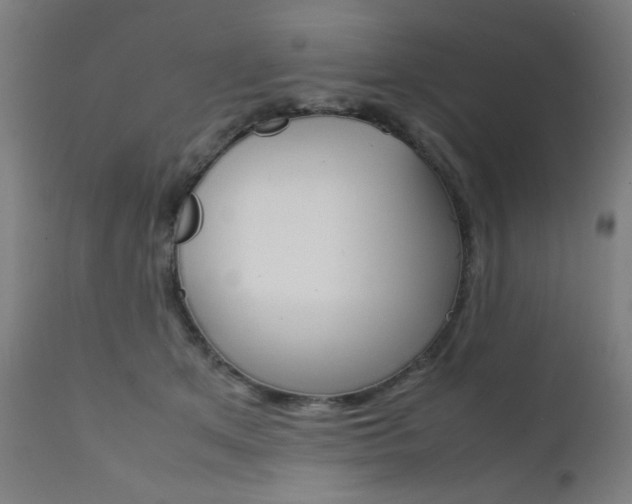 X0000112090513200908041051