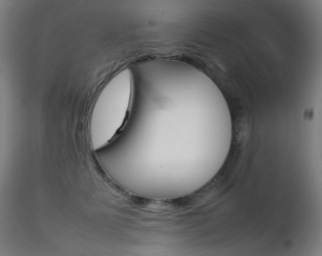 X0000112090515200908041051