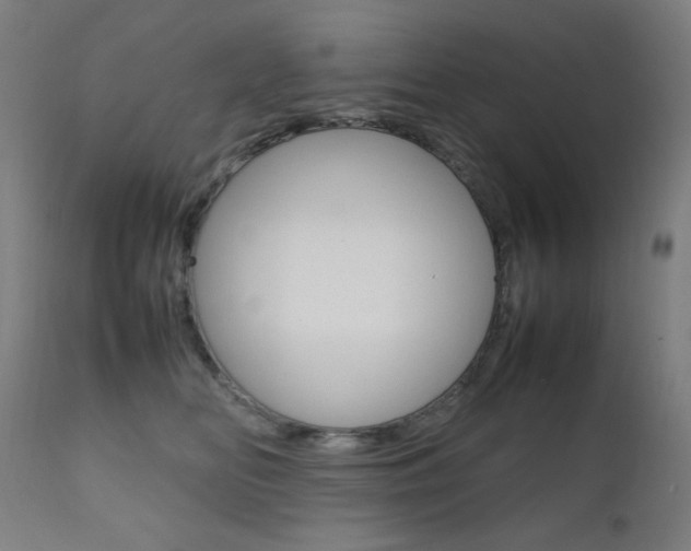 X0000112090518200908041051