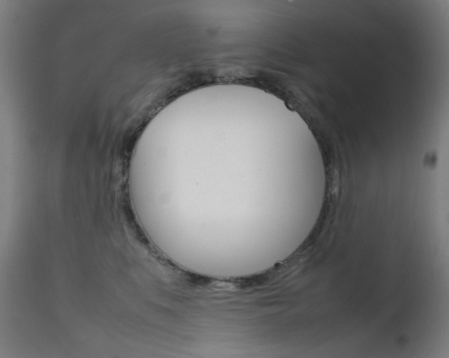 X0000112090519200908041051