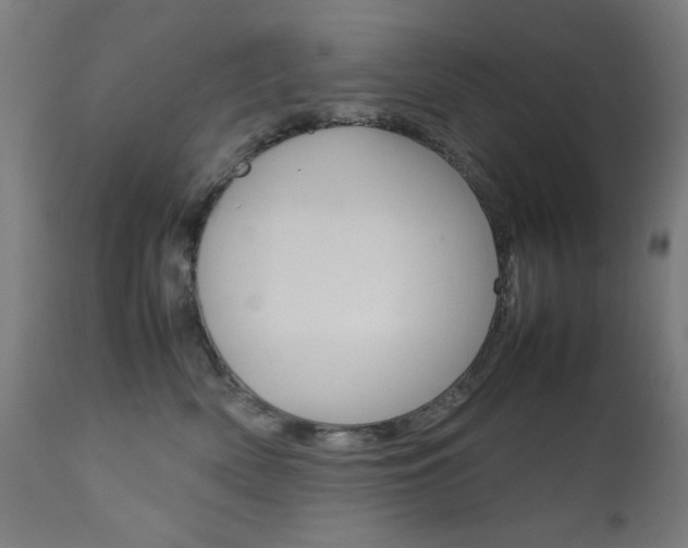 X0000112090522200908041051
