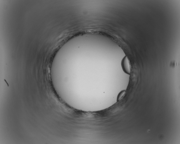 X0000112090523200908041051