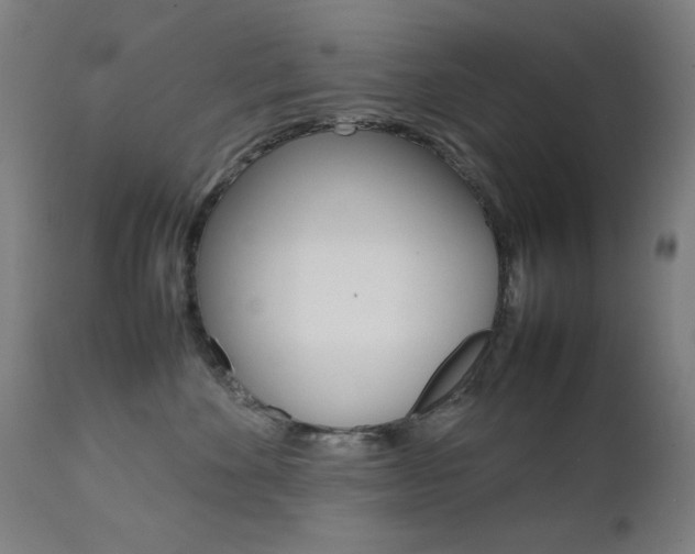 X0000112090524200908041051