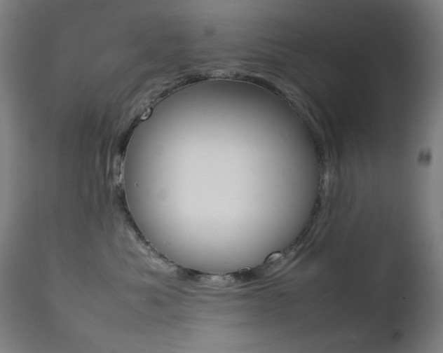 X0000112090525200908041051