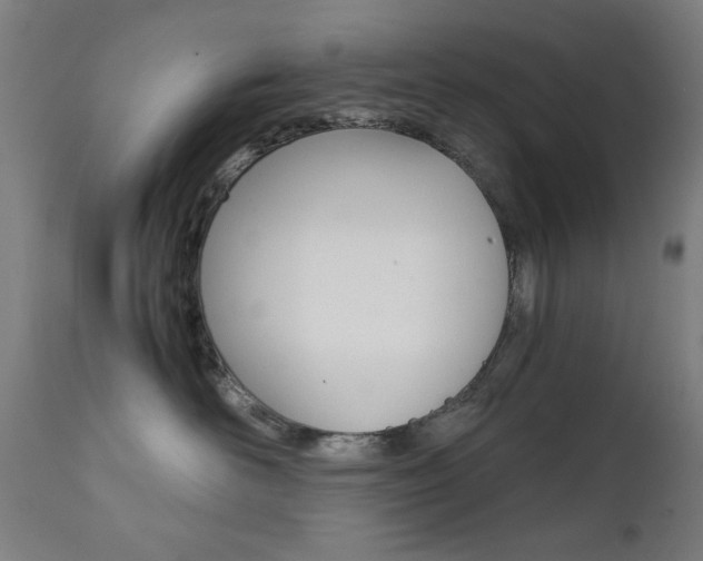 X0000112090526200908041051