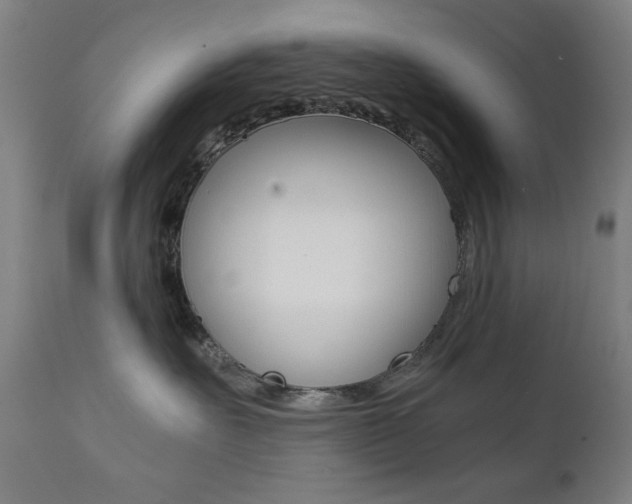 X0000112090527200908041051