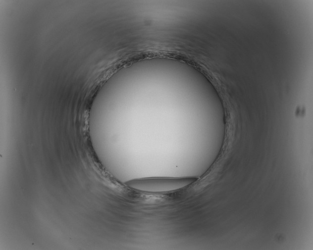 X0000112090528200908041051