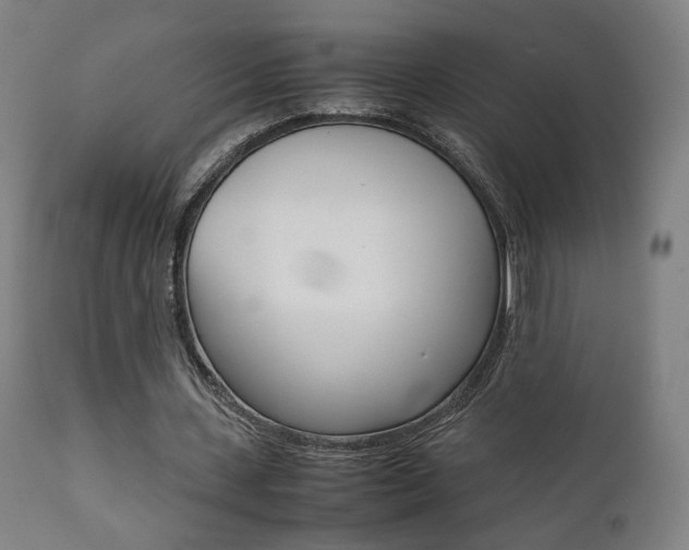 X0000112090531200908041050