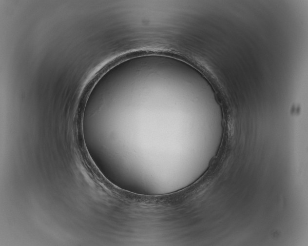 X0000112090532200908041050