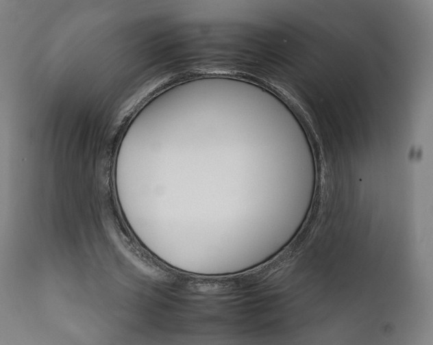 X0000112090533200908041050