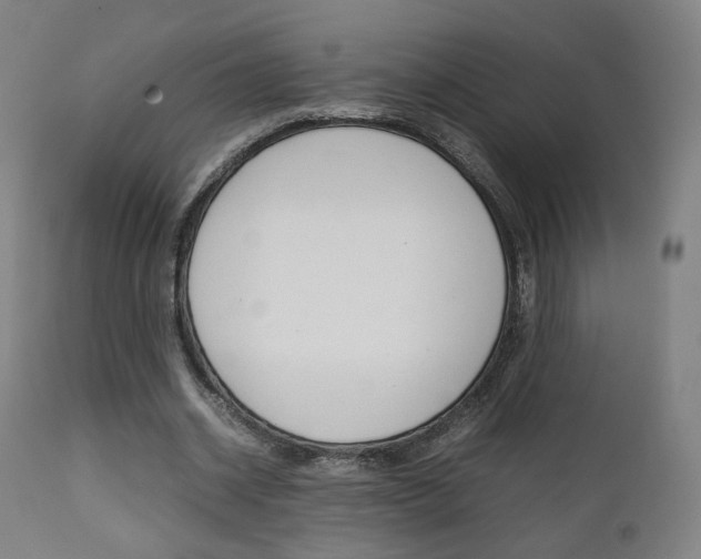 X0000112090534200908041050