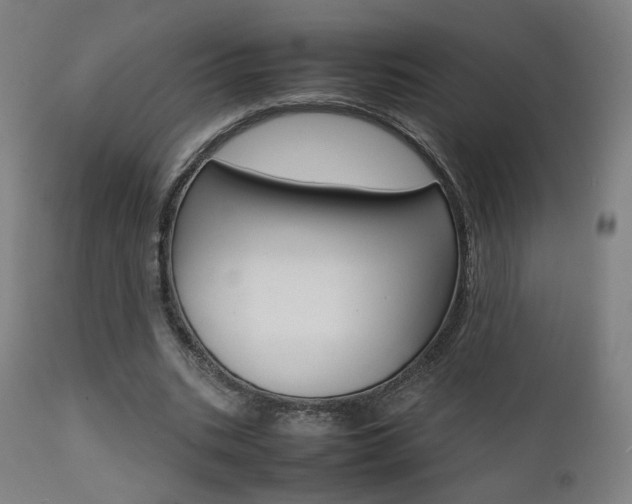 X0000112090535200908041050