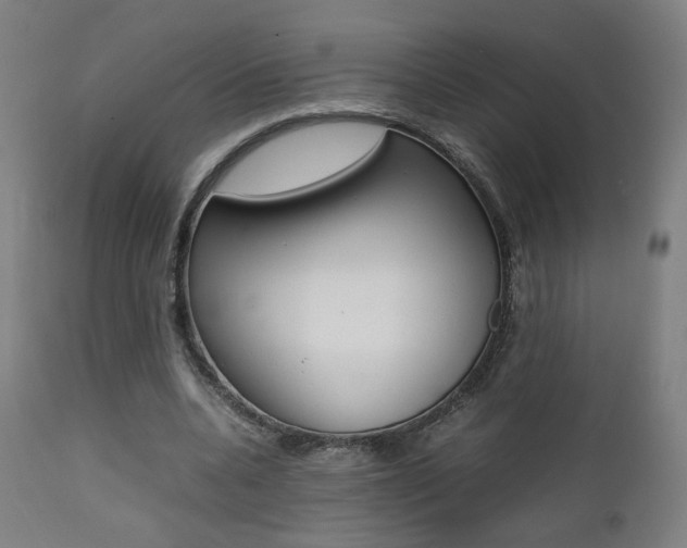 X0000112090536200908041050