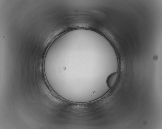 X0000112090537200908041050
