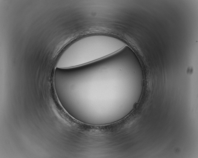 X0000112090538200908041050
