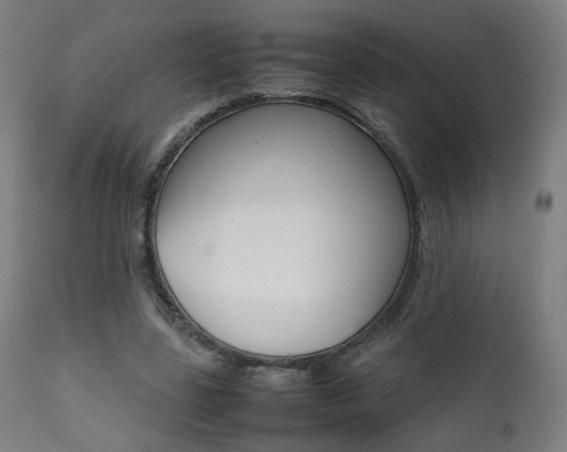 X0000112090539200908041050