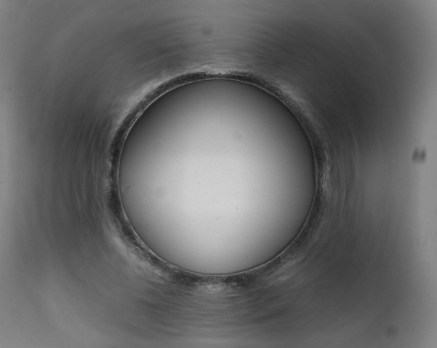 X0000112090540200908041050