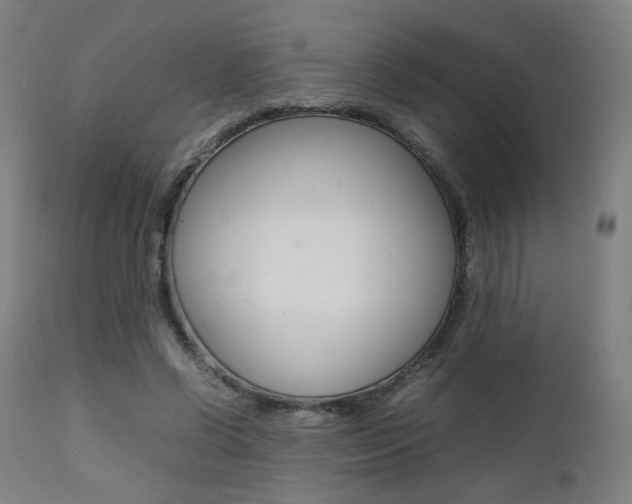 X0000112090542200908041050
