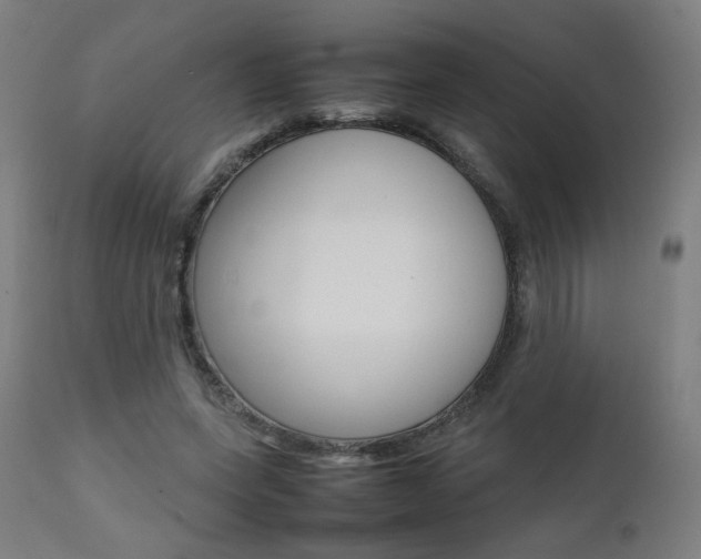 X0000112090543200908041050