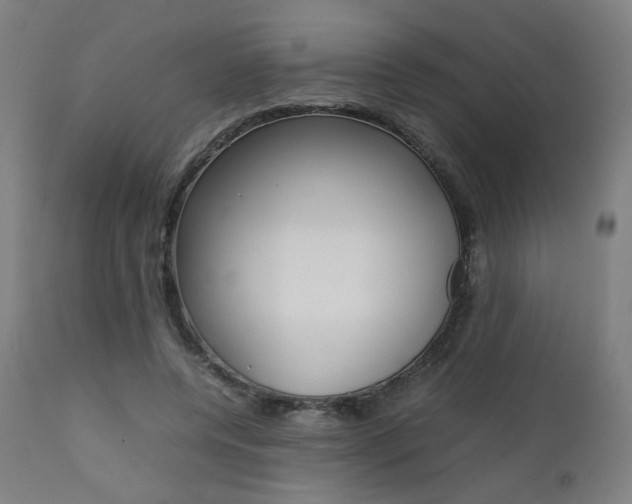 X0000112090544200908041050