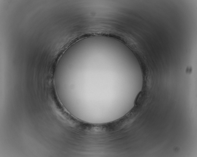 X0000112090546200908041050