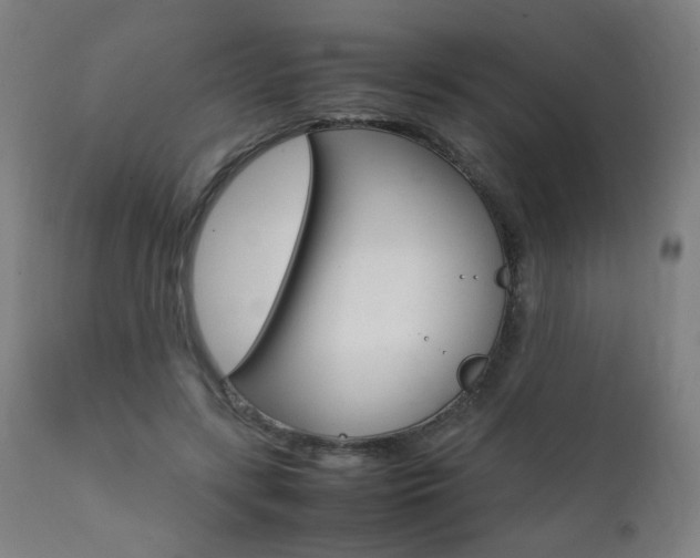 X0000112090547200908041050