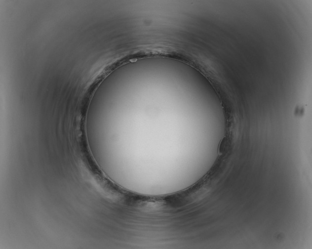 X0000112090548200908041050